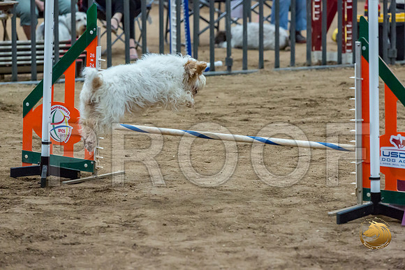 Agility Std ME National 12%22 SpiceJJJ_6449-PBGVKrvlTX2019-HR3
