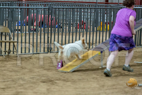 Agility Std ME National 12%22 SpiceJJJ_6451-PBGVKrvlTX2019-HR3