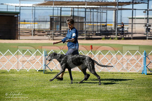 _JN_5916-AlamogordoOct2014-HR3