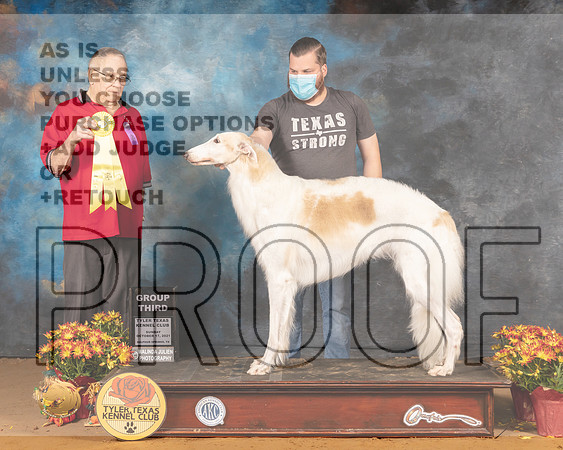 Borzoi #8 Sun G3 Judge Don Gill_MMJ_2159_Tyler2021