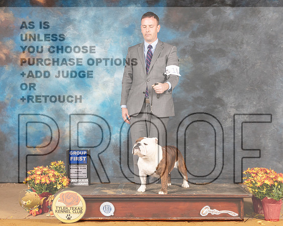 Bulldog #10 Sun G1 Judge Judy Daniels_MMJ_2189_Tyler2021