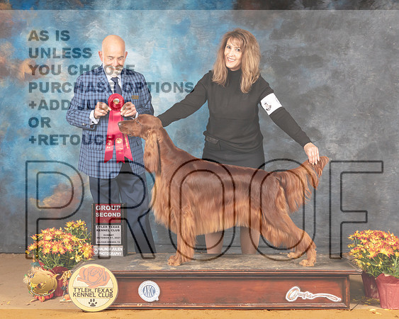 Irish Setter #6 Sun G2 Judge Sam McDonald_MMJ_2215_Tyler2021