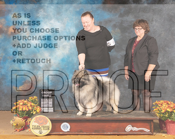 Keeshond #6 Sun G3 Judge Judy Daniels_MMJ_2179_Tyler2021