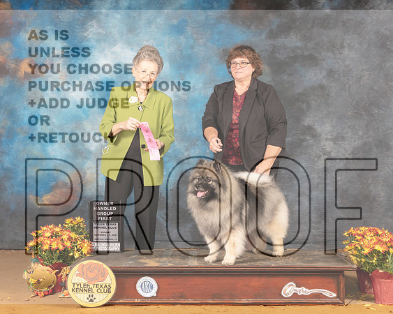Keeshond #6 Sun OHG1 Judge Beth Latchnitt_MMJ_2191_Tyler2021