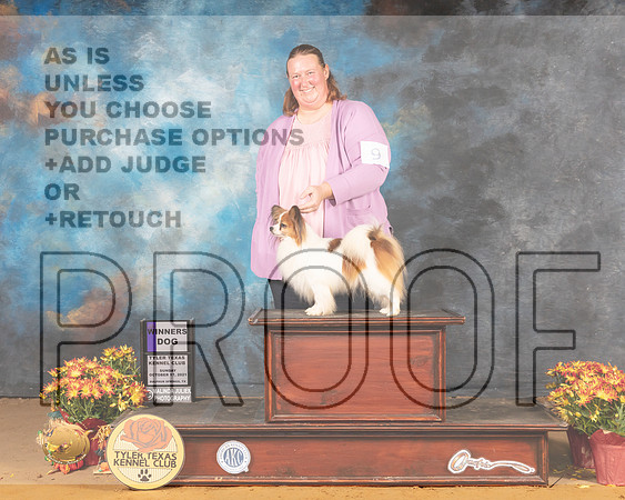 Papillon #9 Sun WD Judge Ted Eubank_MMJ_2168_Tyler2021