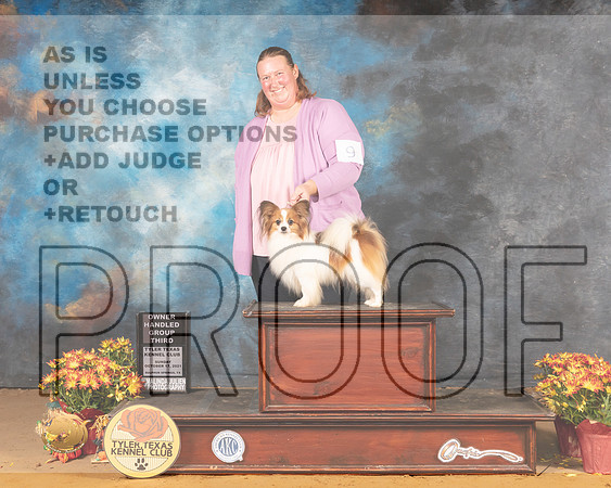 Papilon #9 Sun OHG3 Judge Judy Daniels_MMJ_2162_Tyler2021