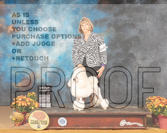 Poodle Miniature #8 Sun G4 Judge Judy Daniels_MMJ_2182_Tyler2021