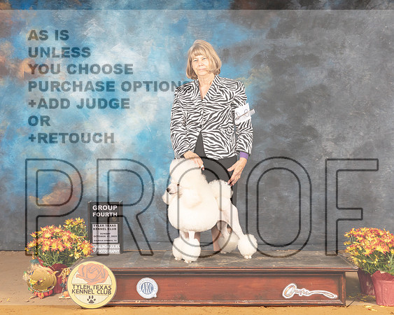 Poodle Miniature #8 Sun G4 Judge Judy Daniels_MMJ_2183_Tyler2021