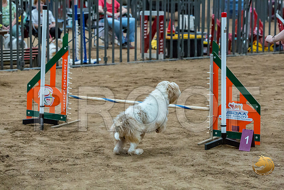 Agility Std ME National 12%22 WallyJJJ_6374-PBGVKrvlTX2019-HR3