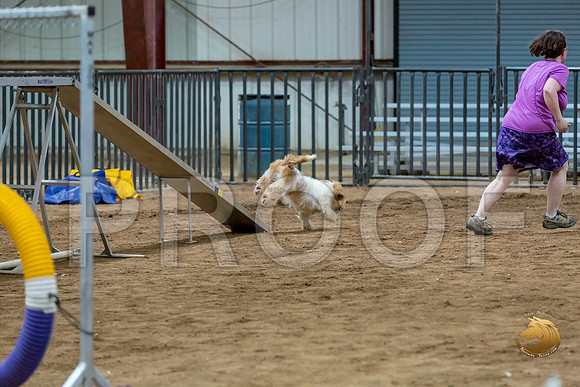 Agility Std ME National 12%22 WallyJJJ_6383-PBGVKrvlTX2019-HR3