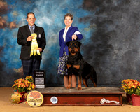 Rottweiler #7 Sun G3 Judge Nicholas Debebout