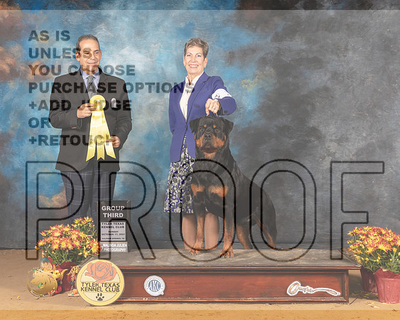Rottweiler #7 Sun G3 Judge Nicholas Debebout_MMJ_2237_Tyler2021
