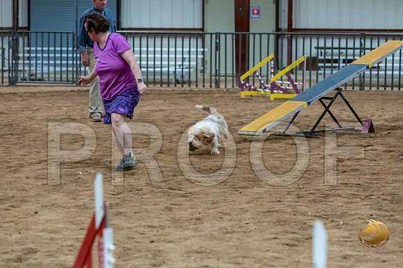 Agility Std ME National 12%22 WallyJJJ_6393-PBGVKrvlTX2019-HR3