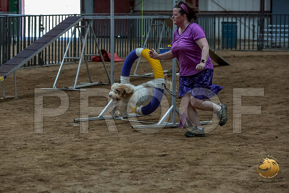 Agility Std ME National 12%22 WallyJJJ_6395-PBGVKrvlTX2019-HR3