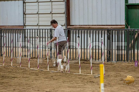 Agility Std ME Regional 12%22 SparksJJJ_5997-PBGVKrvlTX2019-HR3