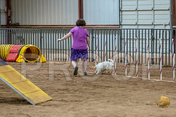 Agility Std ME Regional 12%22 SpiceJJJ_6152-PBGVKrvlTX2019-HR3