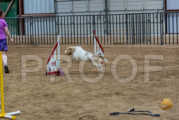 Agility Std ME Regional 12%22 WallyJJJ_6066-PBGVKrvlTX2019-HR3
