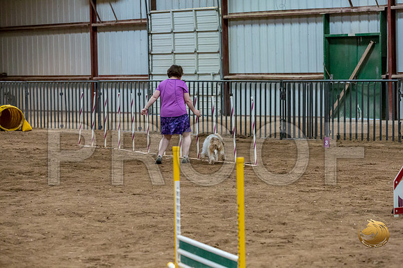 Agility Std ME Regional 12%22 WallyJJJ_6069-PBGVKrvlTX2019-HR3