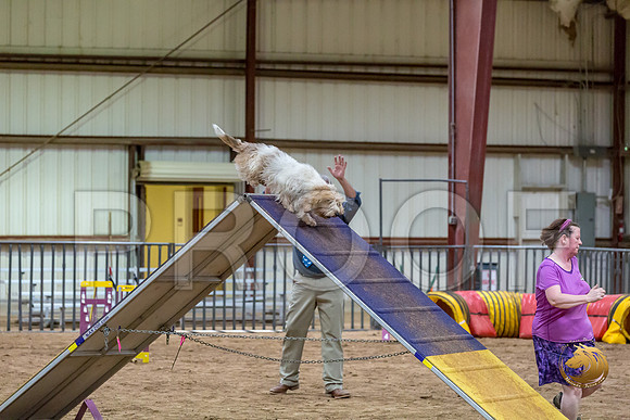 Agility Std ME Regional 12%22 WallyJJJ_6082-PBGVKrvlTX2019-HR3