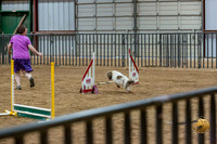Agility Std ME Regional 8" CC