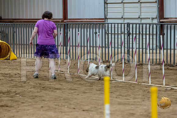 Agility Std ME Regional 8%22 CCJJJ_5849-PBGVKrvlTX2019-HR3