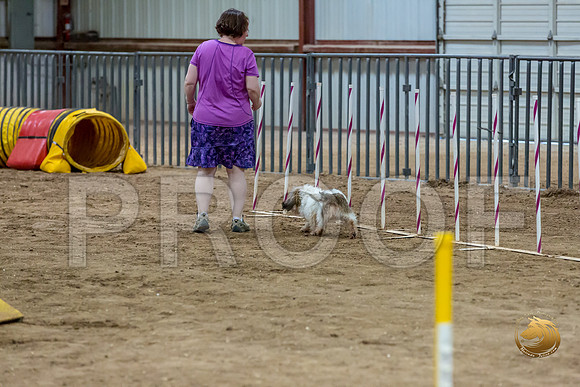 Agility Std ME Regional 8%22 CCJJJ_5851-PBGVKrvlTX2019-HR3