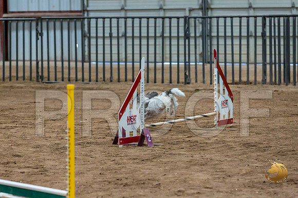 Agility Std ME Regional 8%22 DarcyJJJ_5750-PBGVKrvlTX2019-HR3