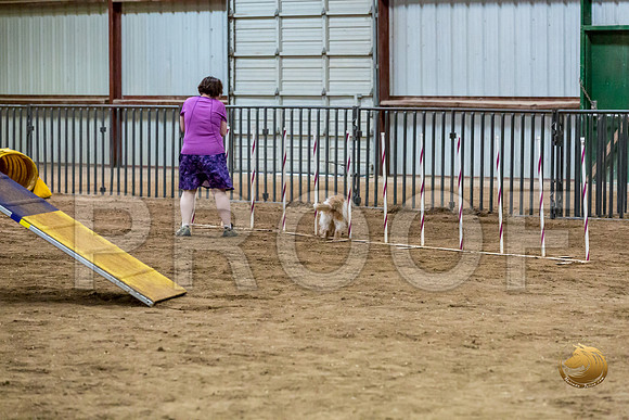 Agility Std ME Regional 8%22 SalsaJJJ_5722-PBGVKrvlTX2019-HR3