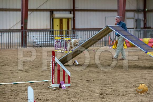 Agility Std ME Regional 8%22 SalsaJJJ_5728-PBGVKrvlTX2019-HR3