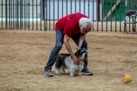 Agility Std Open National 12" Jax