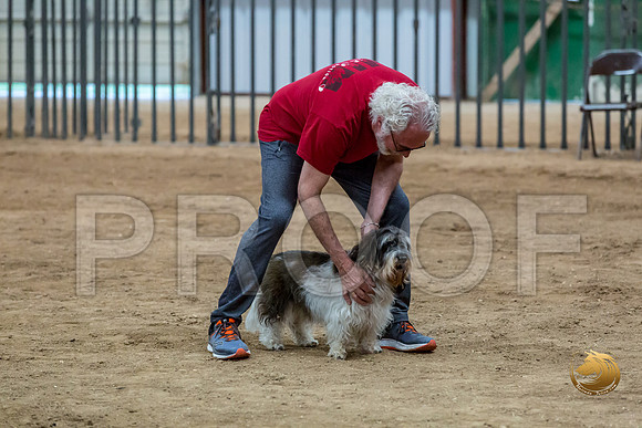 Agility Std Open National 12%22 JaxJJJ_6936-PBGVKrvlTX2019-HR3