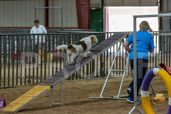 Agility Std Open National 8%22 ChloeJJJ_6744-PBGVKrvlTX2019-HR3