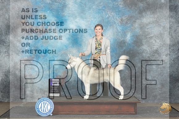 Siberian Husky #5 Sat WD Judge Debra Thornton__JP_3605_Lubbock_2024_HR3