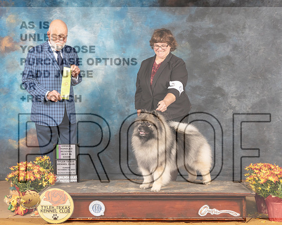 Keeshond #6 Sun OHRBIS Judge Sam McDonald_MMJ_2293_Tyler2021