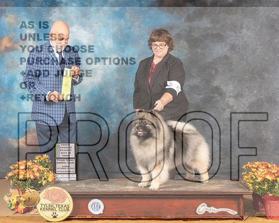 Keeshond #6 Sun OHRBIS Judge Sam McDonald_MMJ_2292_Tyler2021