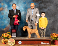 Lakeland Terrier #5 Sun G2 Judge Nicolas Debebout