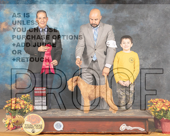 Lakeland Terrier #5 Sun G2 Judge Nicolas Debebout_MMJ_2275_Tyler2021
