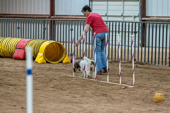 Agility Std Open National 8%22 LeahJJJ_6893-PBGVKrvlTX2019-HR3