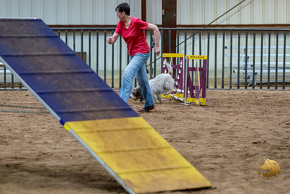 Agility Std Open National 8%22 LeahJJJ_6897-PBGVKrvlTX2019-HR3