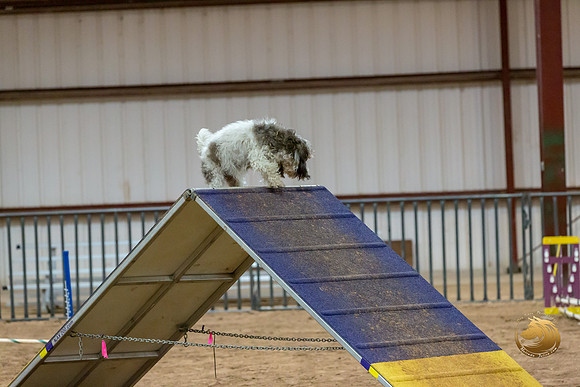 Agility Std Open National 8%22 LeahJJJ_6903-PBGVKrvlTX2019-HR3