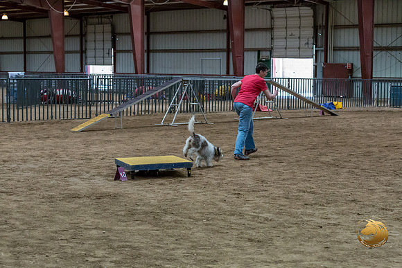 Agility Std Open National 8%22 LeahJJJ_6915-PBGVKrvlTX2019-HR3