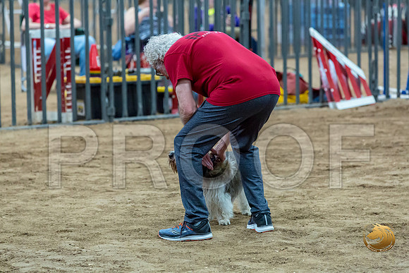 Agility T2B Regional 12%22 JaxJJJ_5346-PBGVKrvlTX2019-HR3