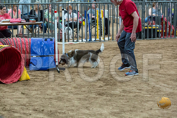 Agility T2B Regional 12%22 JaxJJJ_5349-PBGVKrvlTX2019-HR3
