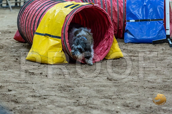Agility T2B Regional 12%22 JaxJJJ_5352-PBGVKrvlTX2019-HR3
