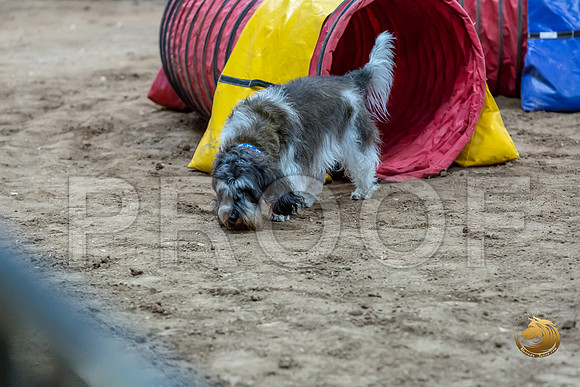 Agility T2B Regional 12%22 JaxJJJ_5354-PBGVKrvlTX2019-HR3