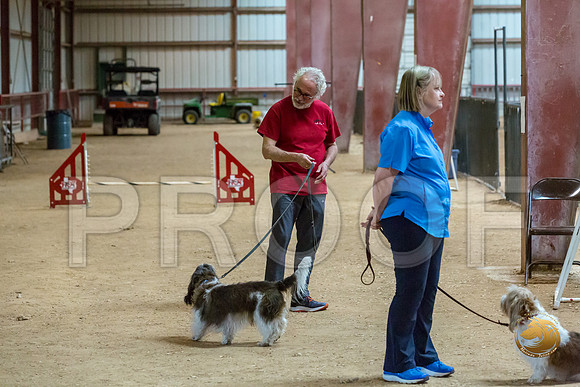 Agility T2B Regional 12%22 JaxJJJ_5355-PBGVKrvlTX2019-HR3