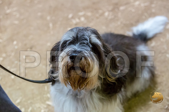 Agility T2B Regional 12%22 JaxJJJ_5357-PBGVKrvlTX2019-HR3