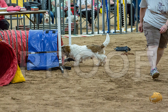 Agility T2B Regional 12%22 SparksJJJ_5277-PBGVKrvlTX2019-HR3