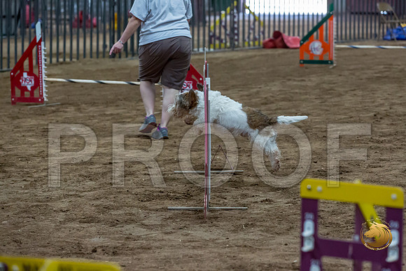 Agility T2B Regional 12%22 SparksJJJ_5284-PBGVKrvlTX2019-HR3