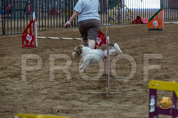 Agility T2B Regional 12%22 SparksJJJ_5285-PBGVKrvlTX2019-HR3